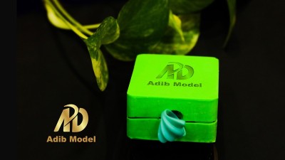 Adib Model